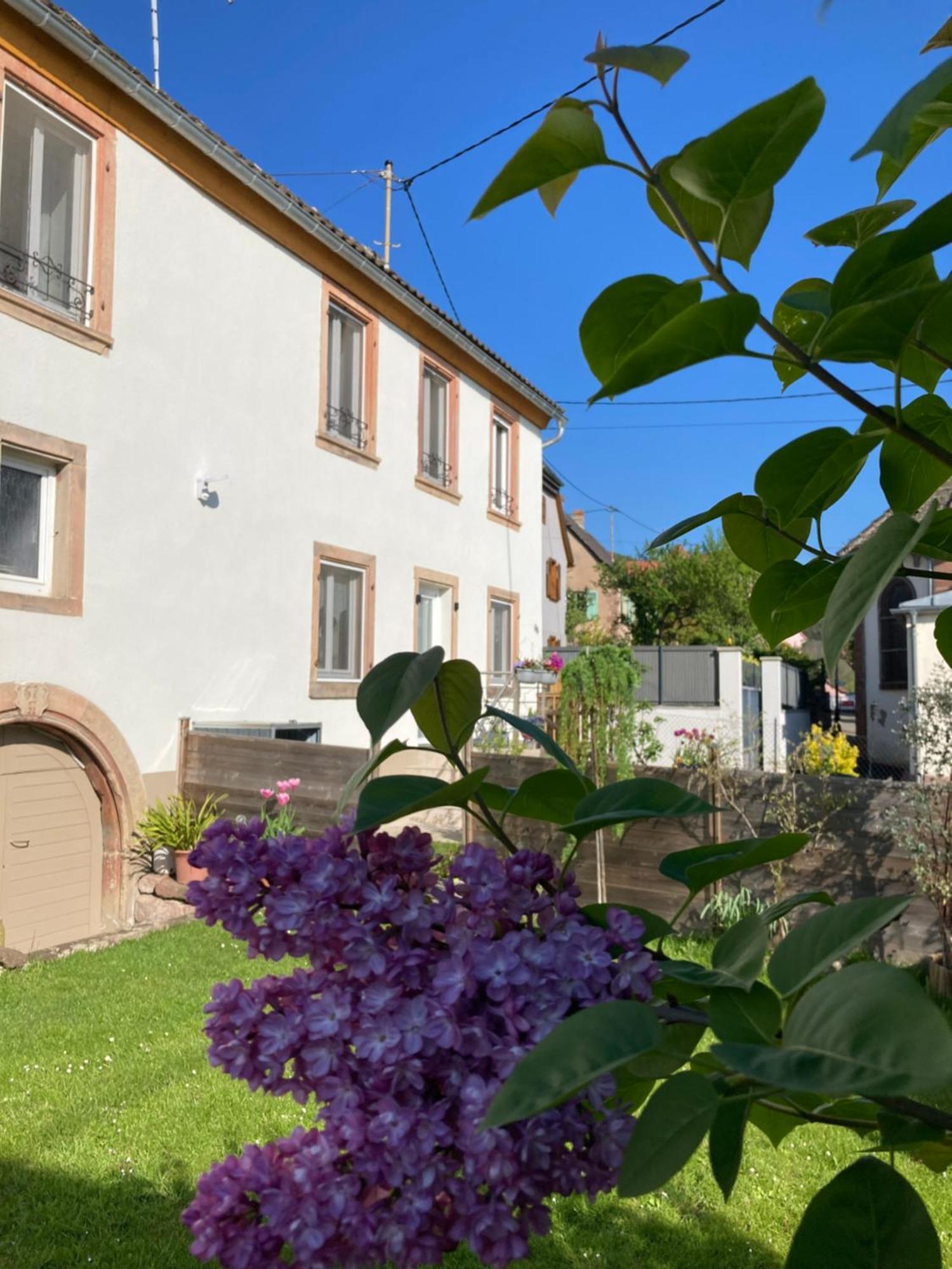 Gite Le 1602 Saint-Nabor Экстерьер фото